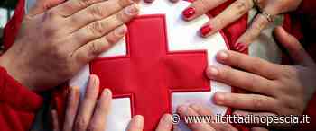 Teatro per Giovani+. Selezione per 11 aspiranti attori - Il Cittadino Pescia