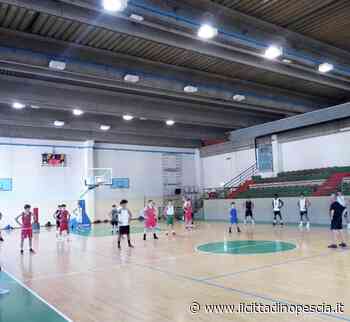 Cestistica a lavoro per un lavoro post stagionale - Il Cittadino Pescia