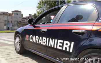 XI Giornata del Carabiniere a Lainate: “I Forestali: 200 anni per l'ambiente” | Sempione News - Sempione News