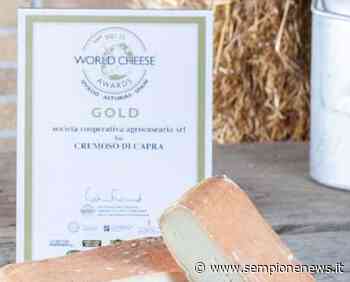 Il "Cremoso di Capra" de l'Agricola di Lainate è medaglia d'oro | Sempione News - Sempione News