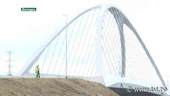 Oeverzwaluw dwarsboomt afwerking brug Tervant - TV Limburg