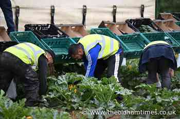 Oldham MP accuses Government of 'lack of ambition' over food strategy - The Oldham Times
