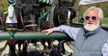 Google apologizes to B.C. business owner after maps error sends customers to wrong location