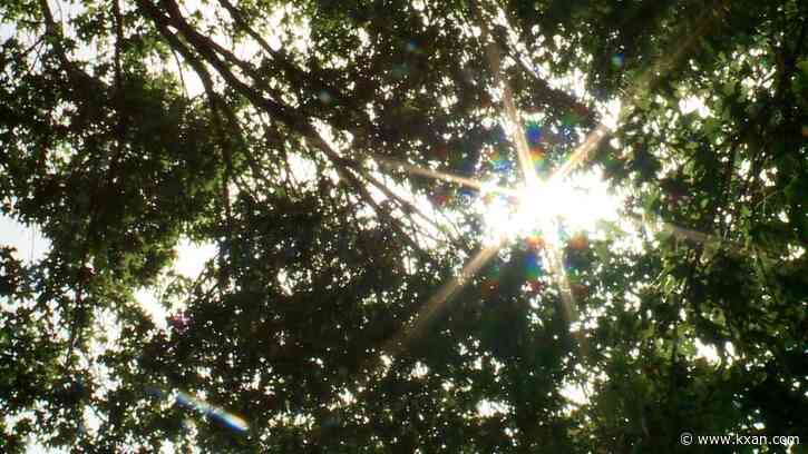 Oncor blames weekend power outages on heat