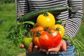 Un corso di formazione da operatore agricolo all’Engim di Chieri - Il carmagnolese