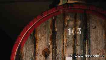 L'Aceto Balsamico di Modena Igp protagonista al Summer Fancy Food Show 2022 - Federvini