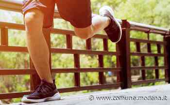 Corri sul Secchia - Comune di Modena