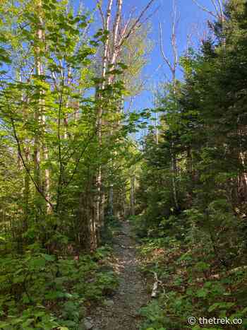 AT Day 106 - The Trail That Dreams Are Made Of - The Trek