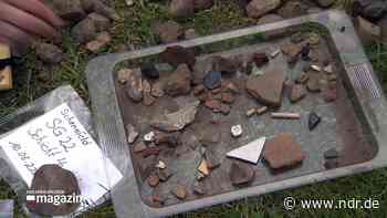 Schenefeld: Bürger werden für einen Tag zu Archäologen - NDR.de