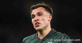 Liverpool can repeat Darwin Núñez transfer with ideal Fabinho cover to solve Jürgen Klopp issue - Liverpool.com