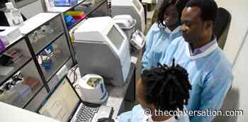 Molecular research could help Nigeria solve a host of health problems - The Conversation