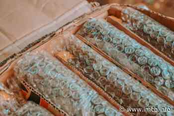 GROHE muestra su viaje para crear envases libres de plástico - IMCB