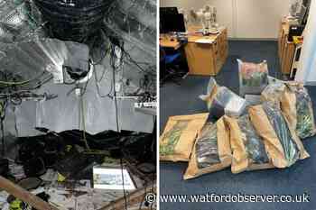 Police discover cannabis factory in Whippendell Road in Watford