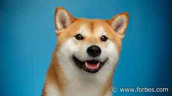 An Introduction to Dogecoin, The Meme Cryptocurrency – Forbes Advisor Canada - Forbes