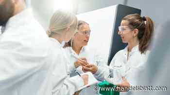 Flexible Mischfonds: Auf diese Strategien setzen bekannte Fondsmanager in turbulenten Zeiten