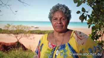 ‘Normally, there are shades of grey’: Calls for consequences for failing company