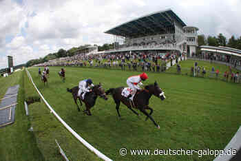 Noch neun im Großen Preis der Wirtschaft - Deutscher Galopp