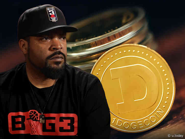 Dogecoin Foundation Hosts Discussion with Rapper Ice Cube on DOGE Adoption: Details - U.Today