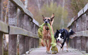 How taking a course led to a life-long friendship - Westmount Magazine - WestmountMag.ca