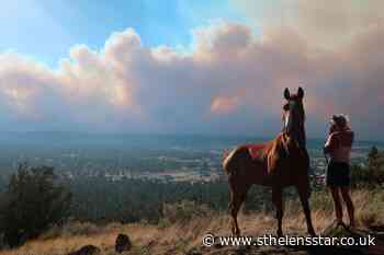 Growing Arizona wildfire forces evacuations - St Helens Star