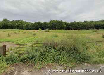 Elsenham homes scheme delayed amid M11 noise concerns