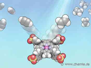 Von der Photosynthese inspirierter Prozess zur Herstellung von Grundchemikalien