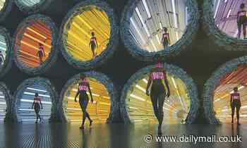 Alien life may have already been replaced by ROBOTS, Astronomer Royal claims