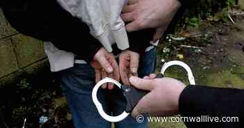 Suspect in Camborne arrested after man threatened 'with machete' in park - Cornwall Live