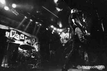 Interview with Ripcordz playing July 8th in Cornwall - The Seeker