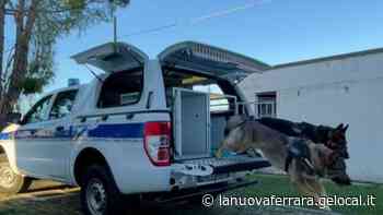 Massa Fiscaglia, sorpreso a spacciare: arrestato - La Nuova Ferrara