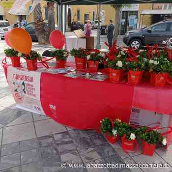 L'AISM di Massa Carrara non si ferma! - La Gazzetta di Massa e Carrara