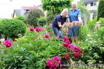 Gärten in Vlotho zeigen ihre Pracht - Westfalen-Blatt