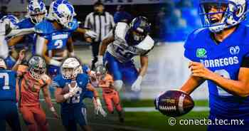 ¡Campeones! Dominan Borregos en 3 conferencias juveniles de ONEFA - Tec de Monterrey