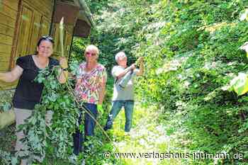 Steinen - Schöne Aussichten für die Waldschänke - www.verlagshaus-jaumann.de