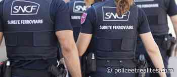 Orchies. Vidéo : pour un billet de train, il résiste à son interpellation et crie au racisme - Police & Réalités