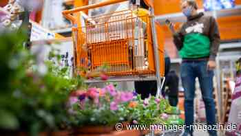 Hornbach: Aktie crasht nach Gewinnwarnung, verwöhnte Anleger geschockt