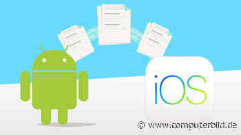 Move to iOS: App erleichtert WhatsApp-Umzug aufs iPhone