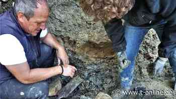 Alpen: Forscher entdecken Hinweise zum Aussterben der Dinosaurier - t-online