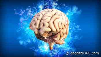 Scientists Discover Human Brain Is More Hotter Than Previously Thought
