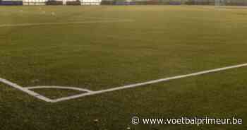 'Beerschot en Lommel melden zich bij Pescara voor Nzita (ex-Anderlecht)' - VoetbalPrimeur.be