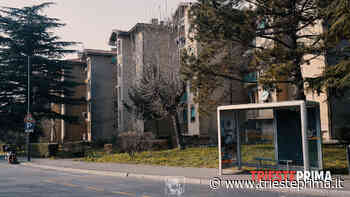 "Auto incendiate a Borgo San Sergio, nessuno si domanda perché?" - TriestePrima