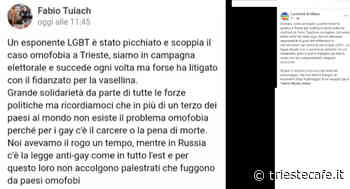 Sentinelli di Milano: "Domani saremo a Trieste per costituirci parte civile contro Fabio Tuiach" - triestecafe.it