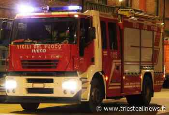 Trieste, sterpaglie a fuoco in Via Masaccio, bruciato anche un capanno - Trieste News
