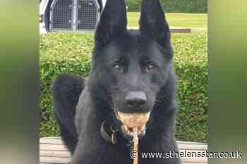 Two men chased and arrested after crashing 'stolen car' in Sutton - St Helens Star