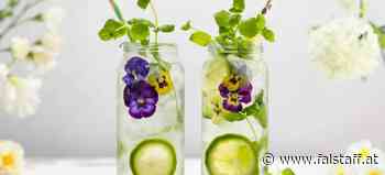 Top 5 Sommer-Drinks mit Kräutern