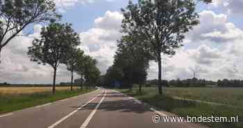 Asfaltonderhoud kost honderden bomen de kop: mes gaat in essen, linden en eiken - BN DeStem