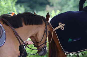 FNRS breidt kennis uit met dierenarts Gerard van Essen - Equnews Nederland