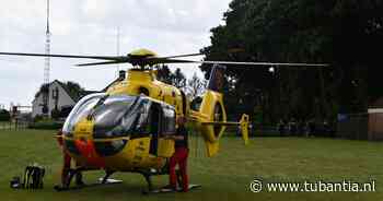 Man valt tijdens het zagen uit een boom in Westerhaar en raakt ernstig gewond - Tubantia