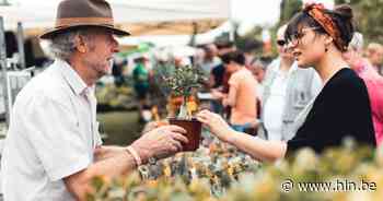 Plantendag strijkt voor het eerst neer in Boomse park - Het Laatste Nieuws