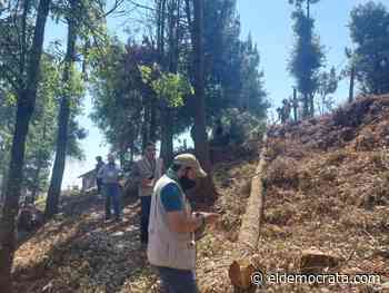 Clausura SSP-PROFEPA predio forestal en Coatepec - El Demócrata
